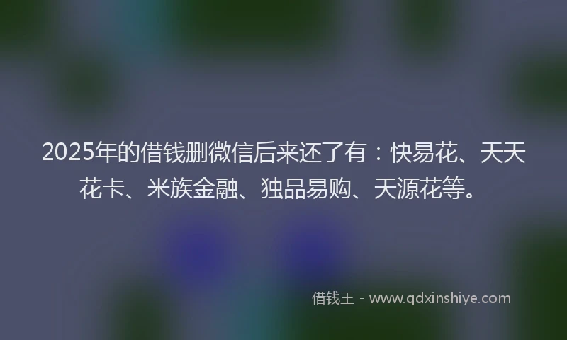 2025年的借钱删微信后来还了有：快易花、天天花卡、米族金融、独品易购、天源花等。
