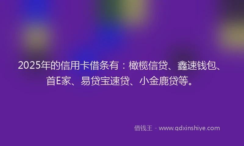2025年的信用卡借条有：橄榄信贷、鑫速钱包、首E家、易贷宝速贷、小金鹿贷等。