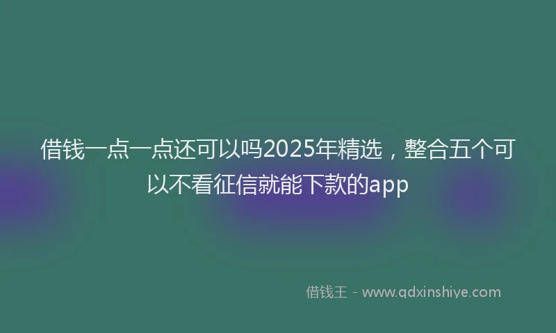 借钱一点一点还可以吗2025年精选，整合五个可以不看征信就能下款的app