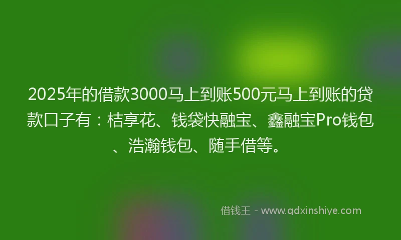 2025年的借款3000马上到账500元马上到账的贷款口子有：桔享花、钱袋快融宝、鑫融宝Pro钱包、浩瀚钱包、随手借等。