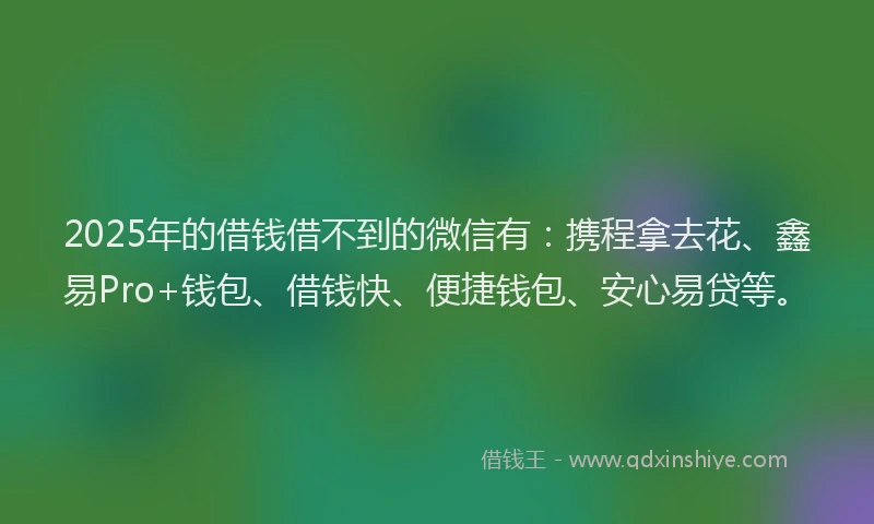 2025年的借钱借不到的微信有：携程拿去花、鑫易Pro+钱包、借钱快、便捷钱包、安心易贷等。