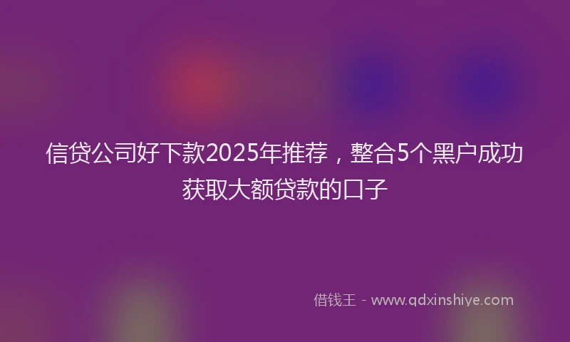信贷公司好下款2025年推荐，整合5个黑户成功获取大额贷款的口子