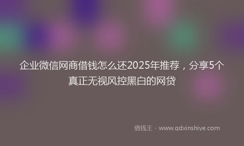 企业微信网商借钱怎么还2025年推荐，分享5个真正无视风控黑白的网贷
