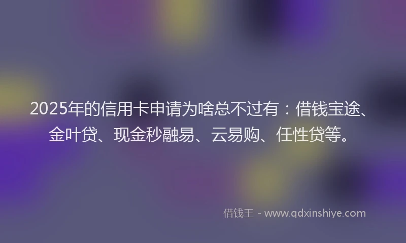 2025年的信用卡申请为啥总不过有：借钱宝途、金叶贷、现金秒融易、云易购、任性贷等。