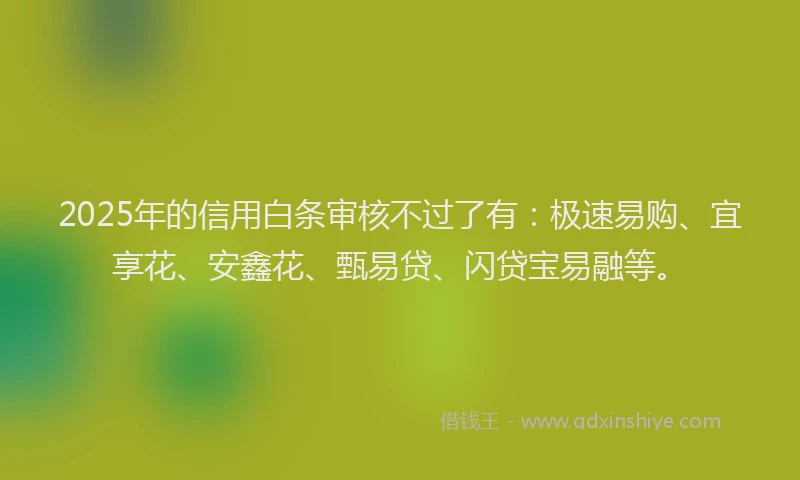2025年的信用白条审核不过了有：极速易购、宜享花、安鑫花、甄易贷、闪贷宝易融等。