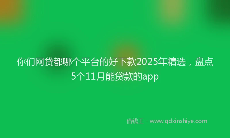 你们网贷都哪个平台的好下款2025年精选，盘点5个11月能贷款的app