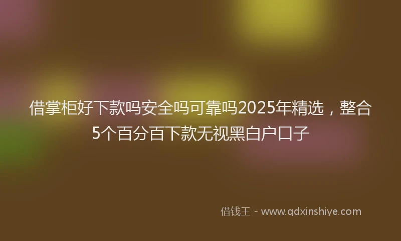 借掌柜好下款吗安全吗可靠吗2025年精选，整合5个百分百下款无视黑白户口子