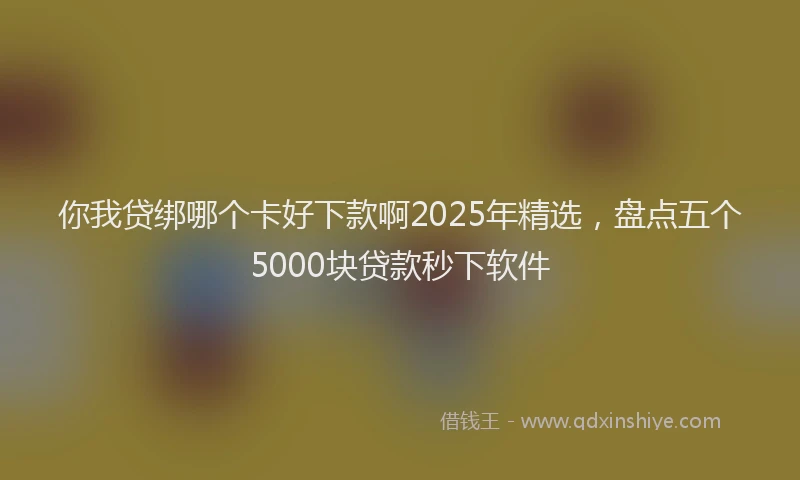 你我贷绑哪个卡好下款啊2025年精选，盘点五个5000块贷款秒下软件