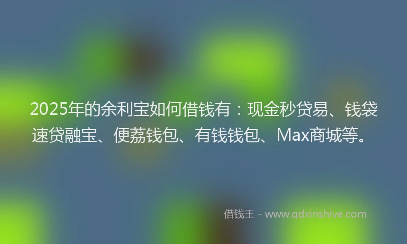 2025年的余利宝如何借钱有：现金秒贷易、钱袋速贷融宝、便荔钱包、有钱钱包、Max商城等。