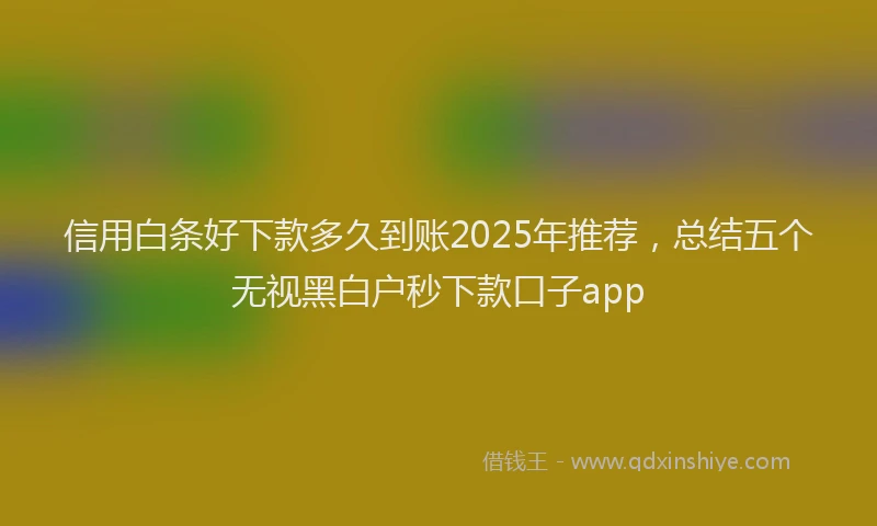 信用白条好下款多久到账2025年推荐，总结五个无视黑白户秒下款口子app
