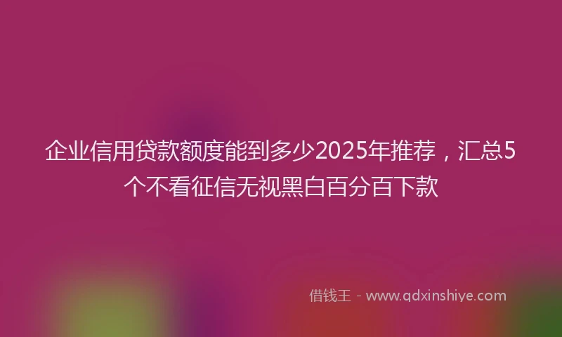 企业信用贷款额度能到多少2025年推荐，汇总5个不看征信无视黑白百分百下款