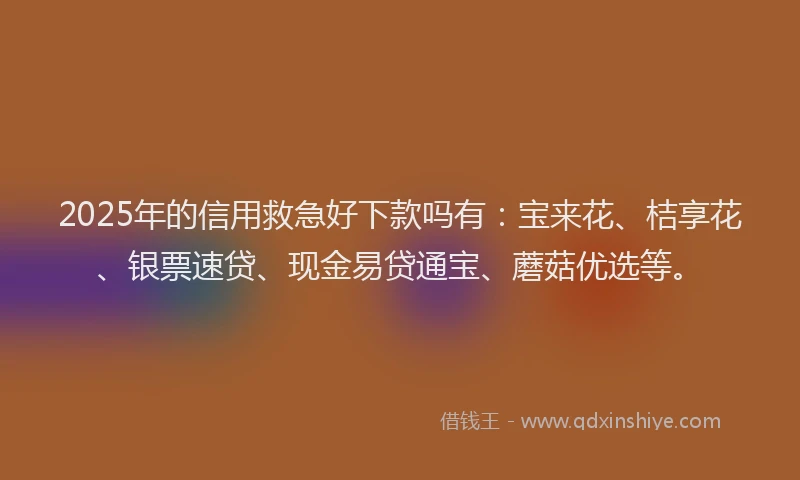2025年的信用救急好下款吗有：宝来花、桔享花、银票速贷、现金易贷通宝、蘑菇优选等。