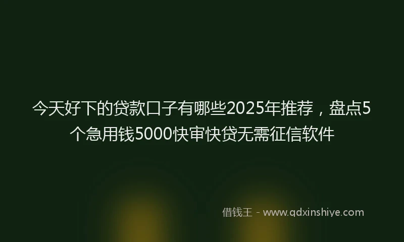 今天好下的贷款口子有哪些2025年推荐，盘点5个急用钱5000快审快贷无需征信软件
