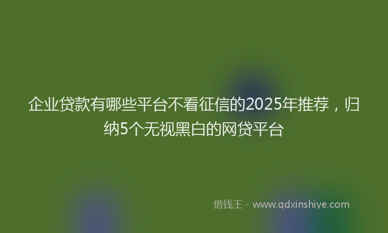 企业贷款有哪些平台不看征信的2025年推荐，归纳5个无视黑白的网贷平台