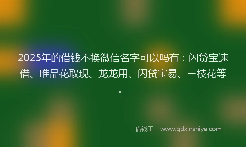 2025年的借钱不换微信名字可以吗有：闪贷宝速借、唯品花取现、龙龙用、闪贷宝易、三枝花等。