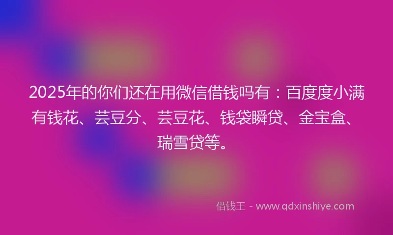 2025年的你们还在用微信借钱吗有：百度度小满有钱花、芸豆分、芸豆花、钱袋瞬贷、金宝盒、瑞雪贷等。