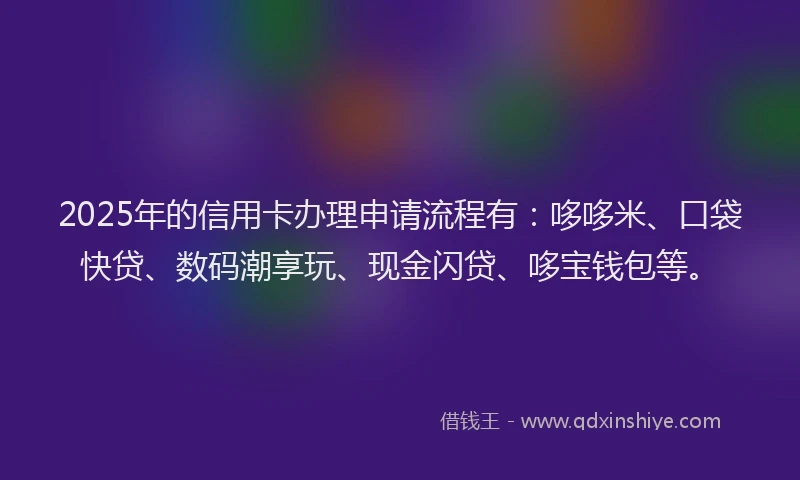 2025年的信用卡办理申请流程有：哆哆米、口袋快贷、数码潮享玩、现金闪贷、哆宝钱包等。