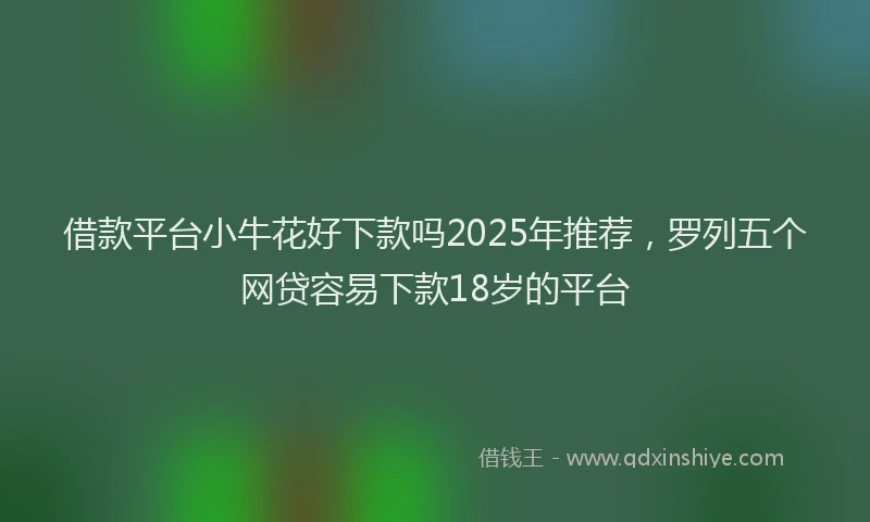 借款平台小牛花好下款吗2025年推荐，罗列五个网贷容易下款18岁的平台