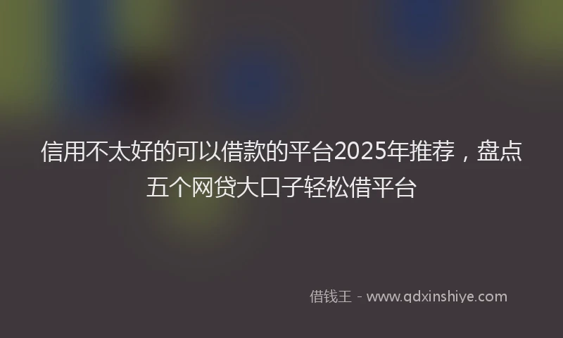 信用不太好的可以借款的平台2025年推荐，盘点五个网贷大口子轻松借平台