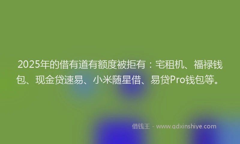 2025年的借有道有额度被拒有：宅租机、福禄钱包、现金贷速易、小米随星借、易贷Pro钱包等。
