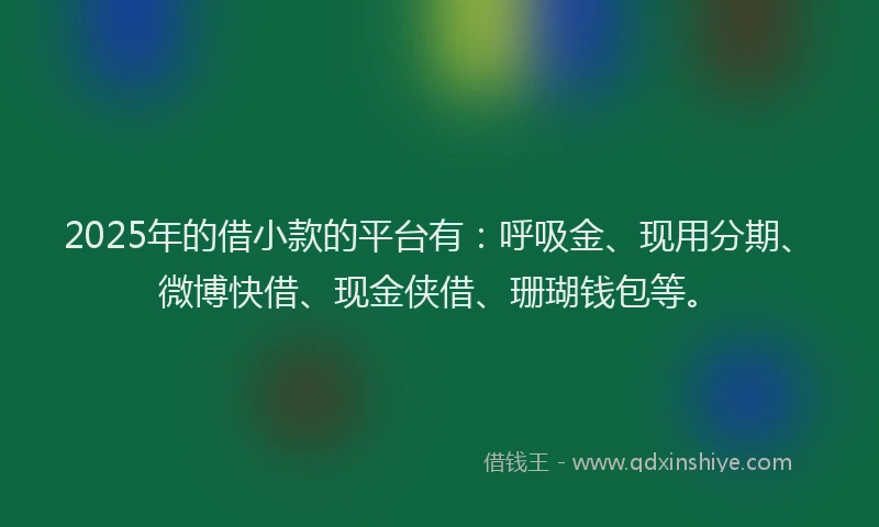 2025年的借小款的平台有：呼吸金、现用分期、微博快借、现金侠借、珊瑚钱包等。