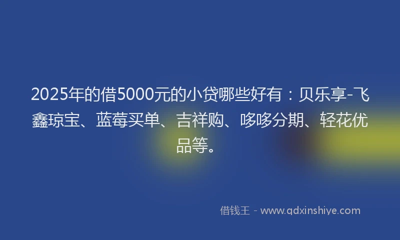 2025年的借5000元的小贷哪些好有：贝乐享-飞鑫琼宝、蓝莓买单、吉祥购、哆哆分期、轻花优品等。