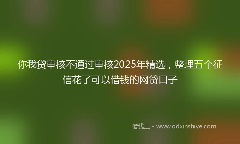 你我贷审核不通过审核2025年精选，整理五个征信花了可以借钱的网贷口子