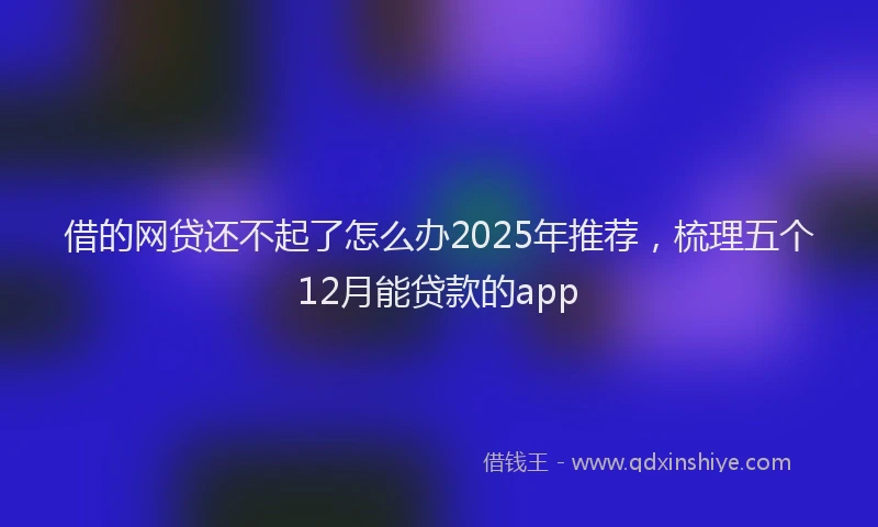 借的网贷还不起了怎么办2025年推荐，梳理五个12月能贷款的app