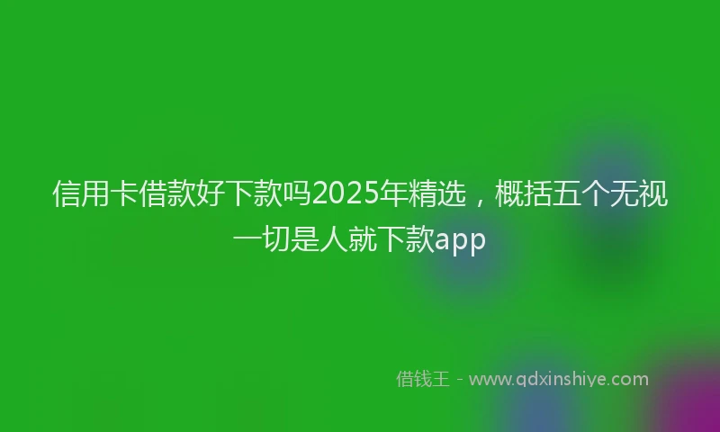 信用卡借款好下款吗2025年精选，概括五个无视一切是人就下款app