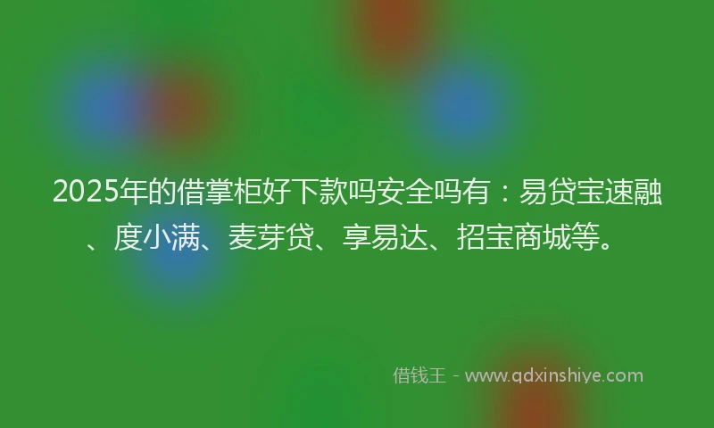 2025年的借掌柜好下款吗安全吗有：易贷宝速融、度小满、麦芽贷、享易达、招宝商城等。