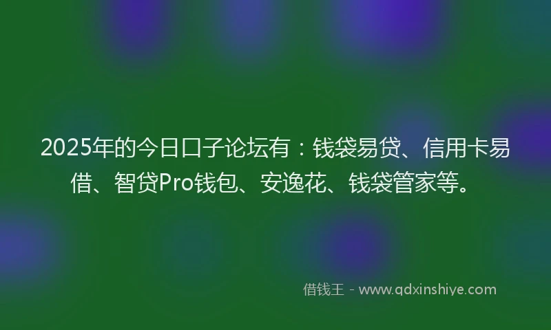 2025年的今日口子论坛有：钱袋易贷、信用卡易借、智贷Pro钱包、安逸花、钱袋管家等。