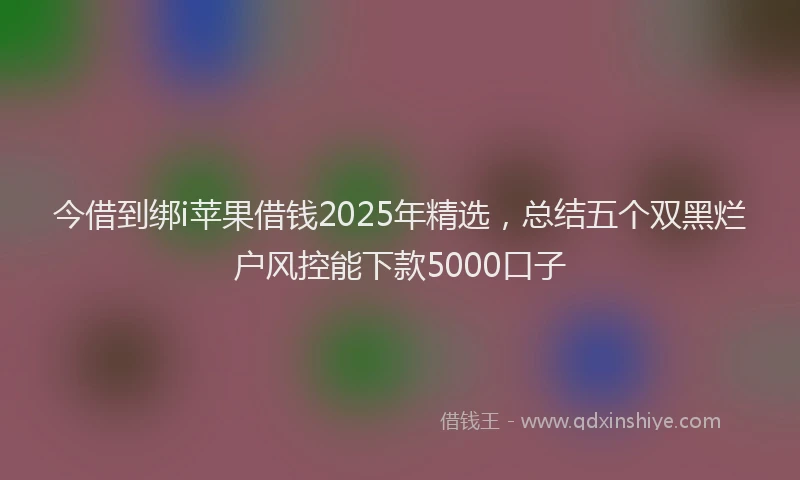 今借到绑i苹果借钱2025年精选，总结五个双黑烂户风控能下款5000口子