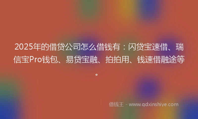 2025年的借贷公司怎么借钱有：闪贷宝速借、瑞信宝Pro钱包、易贷宝融、拍拍用、钱速借融途等。