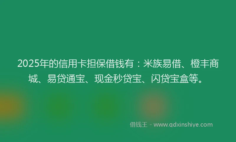 2025年的信用卡担保借钱有：米族易借、橙丰商城、易贷通宝、现金秒贷宝、闪贷宝盒等。