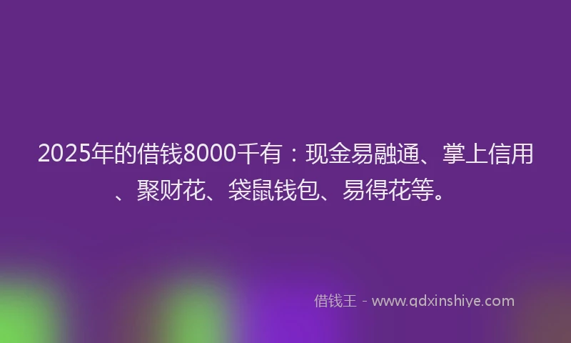 2025年的借钱8000千有：现金易融通、掌上信用、聚财花、袋鼠钱包、易得花等。