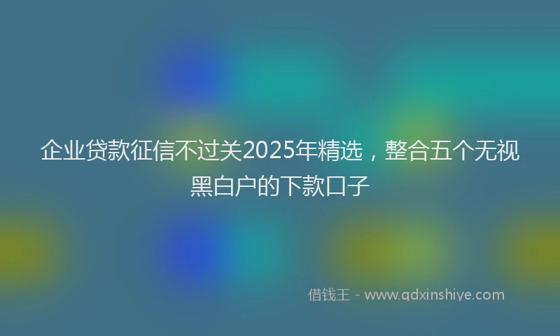 企业贷款征信不过关2025年精选，整合五个无视黑白户的下款口子