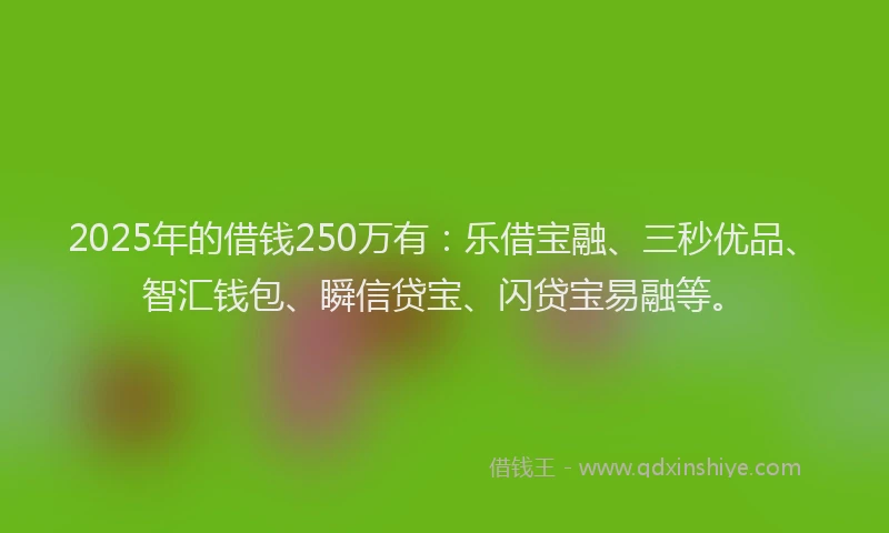 2025年的借钱250万有：乐借宝融、三秒优品、智汇钱包、瞬信贷宝、闪贷宝易融等。