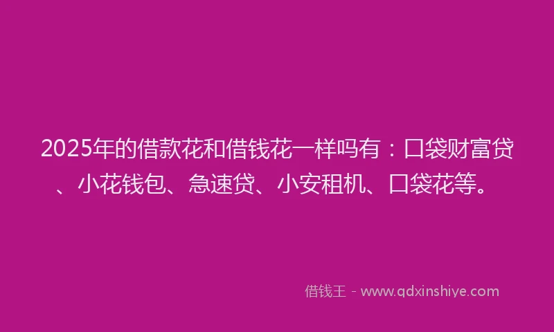 2025年的借款花和借钱花一样吗有：口袋财富贷、小花钱包、急速贷、小安租机、口袋花等。