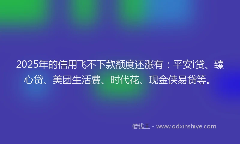 2025年的信用飞不下款额度还涨有：平安i贷、臻心贷、美团生活费、时代花、现金侠易贷等。