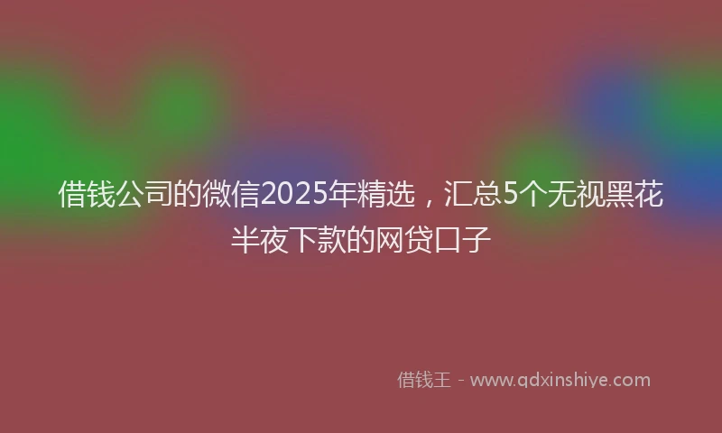 借钱公司的微信2025年精选，汇总5个无视黑花半夜下款的网贷口子