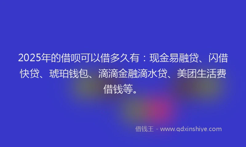 2025年的借呗可以借多久有：现金易融贷、闪借快贷、琥珀钱包、滴滴金融滴水贷、美团生活费借钱等。