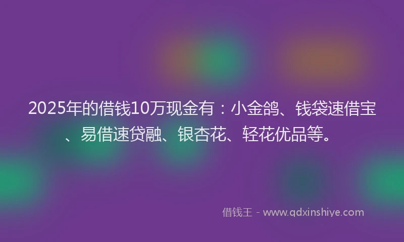 2025年的借钱10万现金有：小金鸽、钱袋速借宝、易借速贷融、银杏花、轻花优品等。