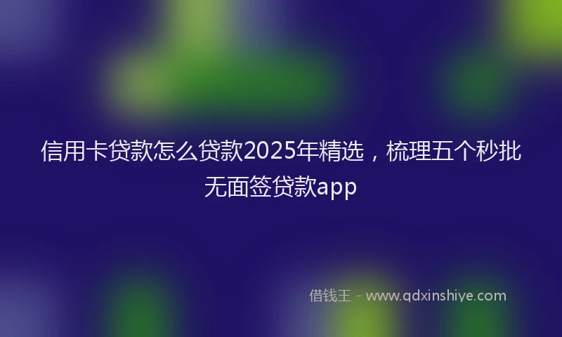 信用卡贷款怎么贷款2025年精选，梳理五个秒批无面签贷款app