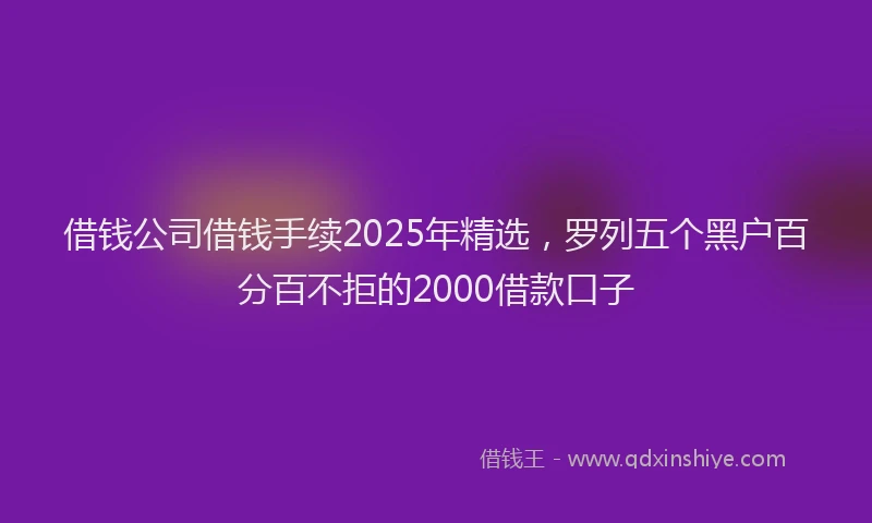 借钱公司借钱手续2025年精选，罗列五个黑户百分百不拒的2000借款口子
