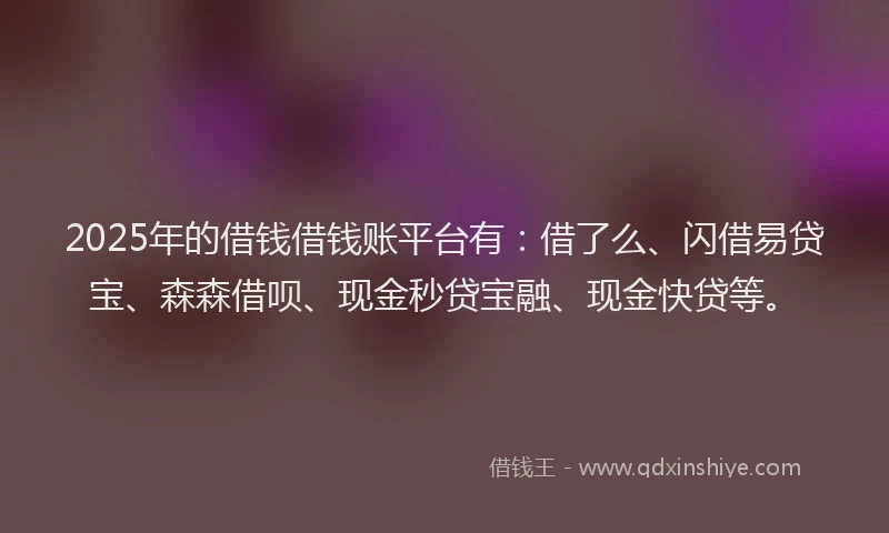 2025年的借钱借钱账平台有：借了么、闪借易贷宝、森森借呗、现金秒贷宝融、现金快贷等。
