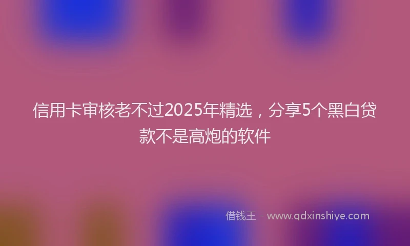 信用卡审核老不过2025年精选，分享5个黑白贷款不是高炮的软件
