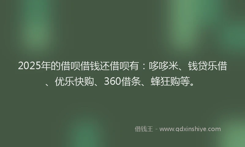 2025年的借呗借钱还借呗有：哆哆米、钱贷乐借、优乐快购、360借条、蜂狂购等。