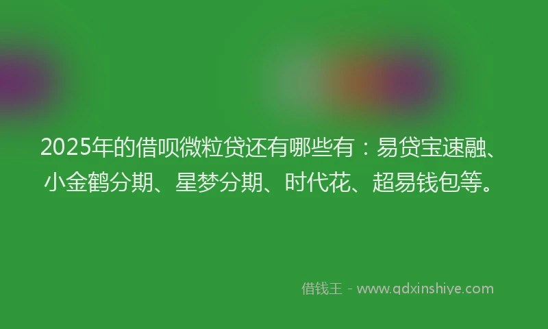 2025年的借呗微粒贷还有哪些有：易贷宝速融、小金鹤分期、星梦分期、时代花、超易钱包等。