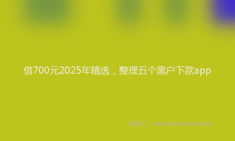 借700元2025年精选，整理五个黑户下款app