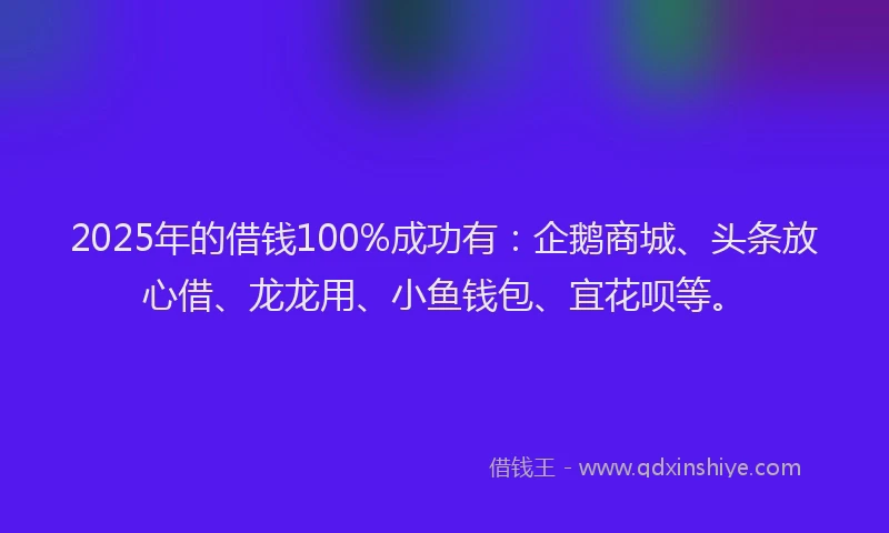 2025年的借钱100%成功有：企鹅商城、头条放心借、龙龙用、小鱼钱包、宜花呗等。